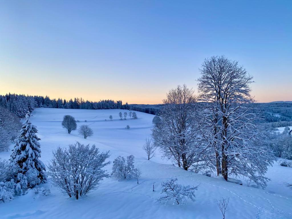 Gaestehaus Steiert Fewo Kuhbergblick Lenzkirch Luaran gambar