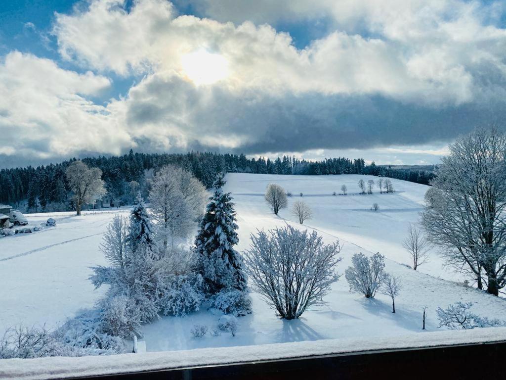 Gaestehaus Steiert Fewo Kuhbergblick Lenzkirch Luaran gambar