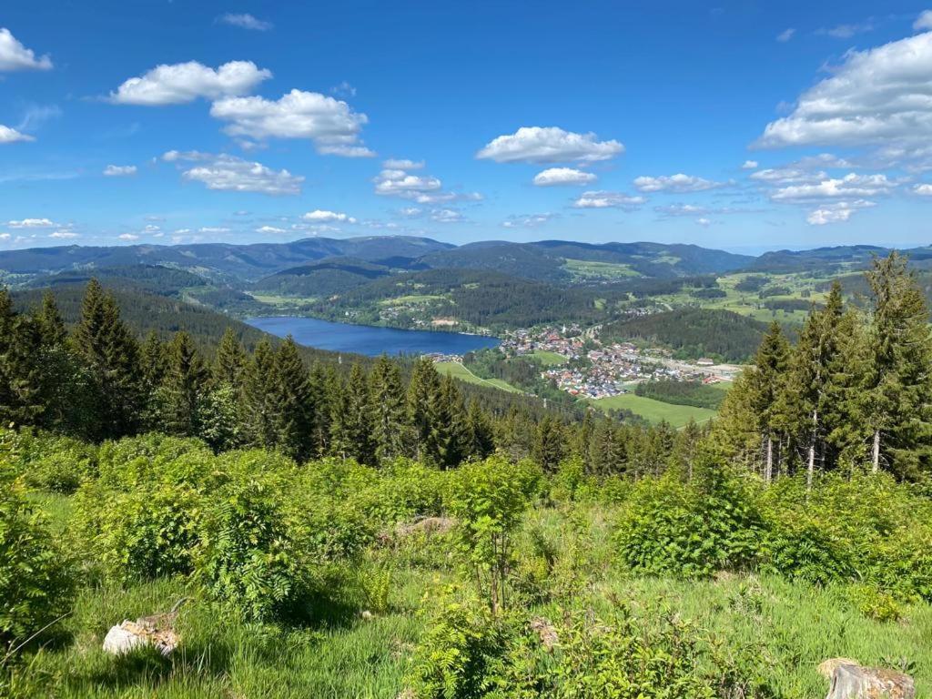 Gaestehaus Steiert Fewo Kuhbergblick Lenzkirch Luaran gambar